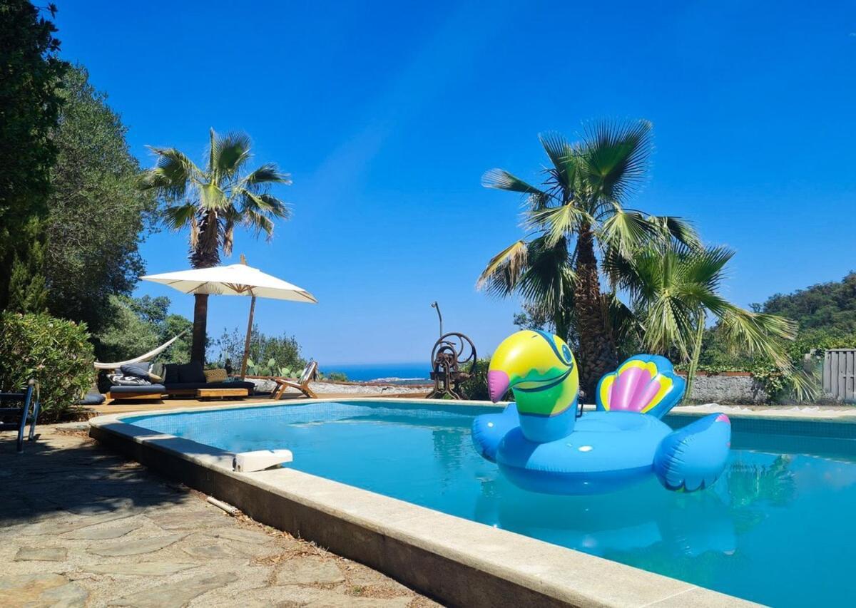 Villa Mas Fauvette With Sea View *